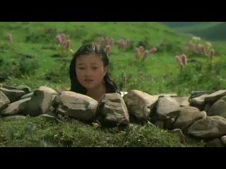 exiled / xiu xiu: the sent-down girl (1998)